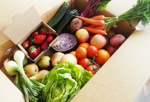 conserver-les-aliments-conservation-frigo-legumes-alimentation-01-300x204 Des astuces pour lutter contre le gaspillage des aliments !