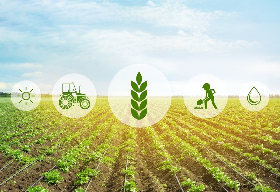 Agriculture numérique