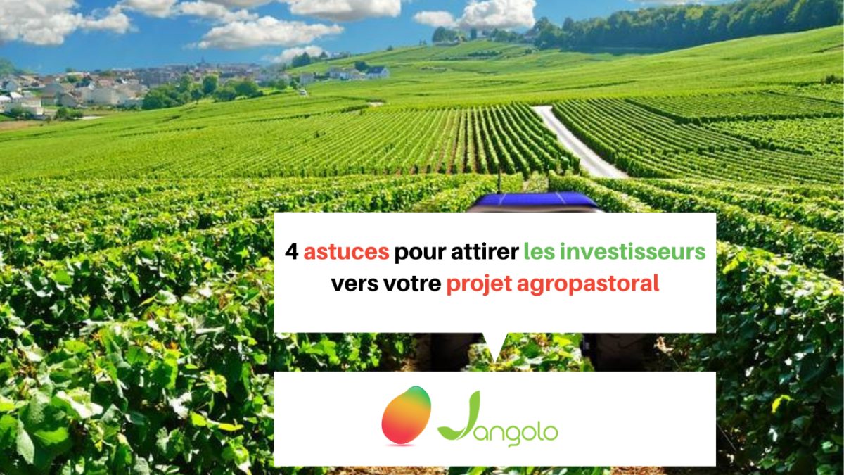 Investisseurs projet agropastoral