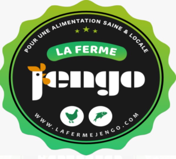 jengo, logo