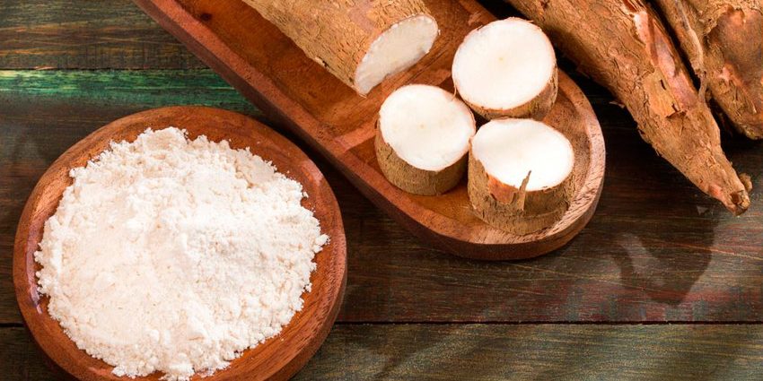 Les-facettes-du-manioc Les différentes facettes du manioc