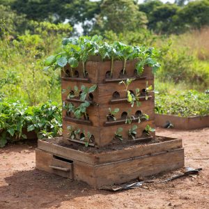 Paul_Oatway_15-square-scaled-1-300x300 Paul_Oatway_15-square-scaled-1