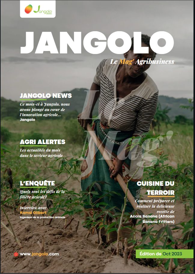 Jangolo Magazine