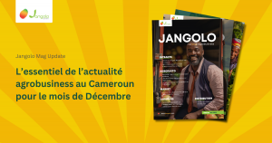 Lessentiel-de-lactualite-agrobusiness-au-Cameroun-pour-le-mois-de-novembre-1-300x158 L’essentiel de l’actualité agrobusiness au Cameroun pour le mois de novembre (1)