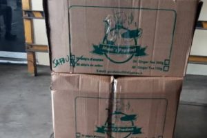 1305-20809-import-export-les-echanges-entre-le-cameroun-et-l-afrique-toujours-marginaux-malgre-l-entree-en-vigueur-de-la-zlecaf_L-300x200 1305-20809-import-export-les-echanges-entre-le-cameroun-et-l-afrique-toujours-marginaux-malgre-l-entree-en-vigueur-de-la-zlecaf_L