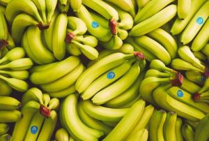 1505-20823-bananes-la-nouvelle-filiale-de-compagnie-fruitiere-de-marseille-chipe-la-3e-place-a-boh-pantations-en-avril-2024_L-300x202 1505-20823-bananes-la-nouvelle-filiale-de-compagnie-fruitiere-de-marseille-chipe-la-3e-place-a-boh-pantations-en-avril-2024_L