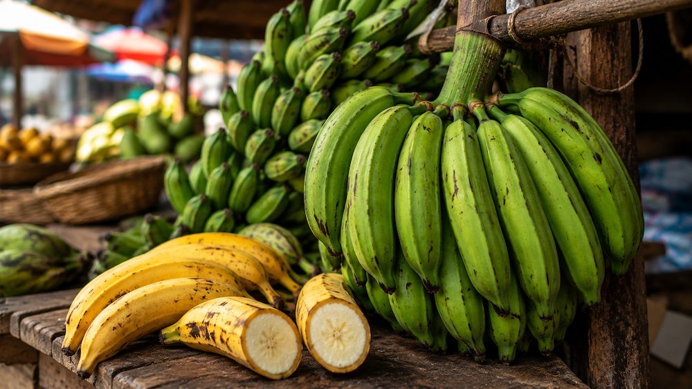 Plantain