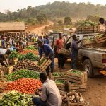 Distribution et vente de produits agricoles au Cameroun, du marché local à l'export