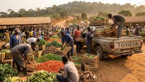 Distribution et vente de produits agricoles au Cameroun, du marché local à l'export