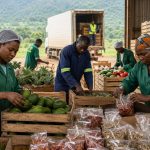 Conditionnement de produits agricoles camerounais pour l'export