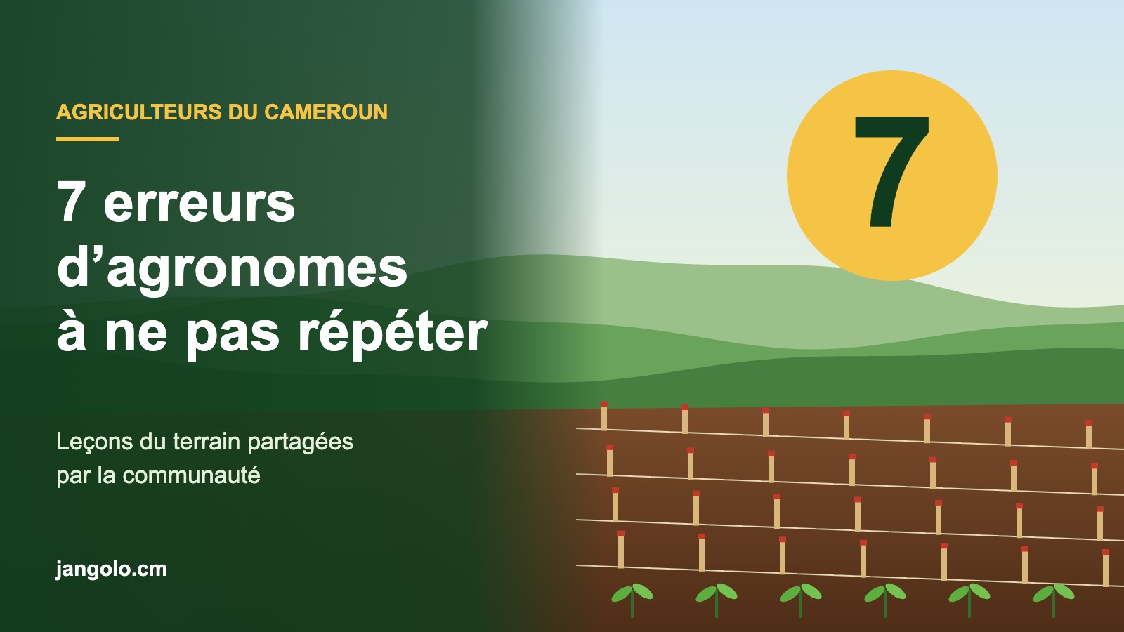 Parcelle piquetée avec jeunes plants, titre 7 erreurs d’agronomes à ne pas répéter