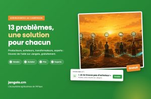 Agribusiness au Cameroun : 13 problèmes et une solution Jangolo pour chacun