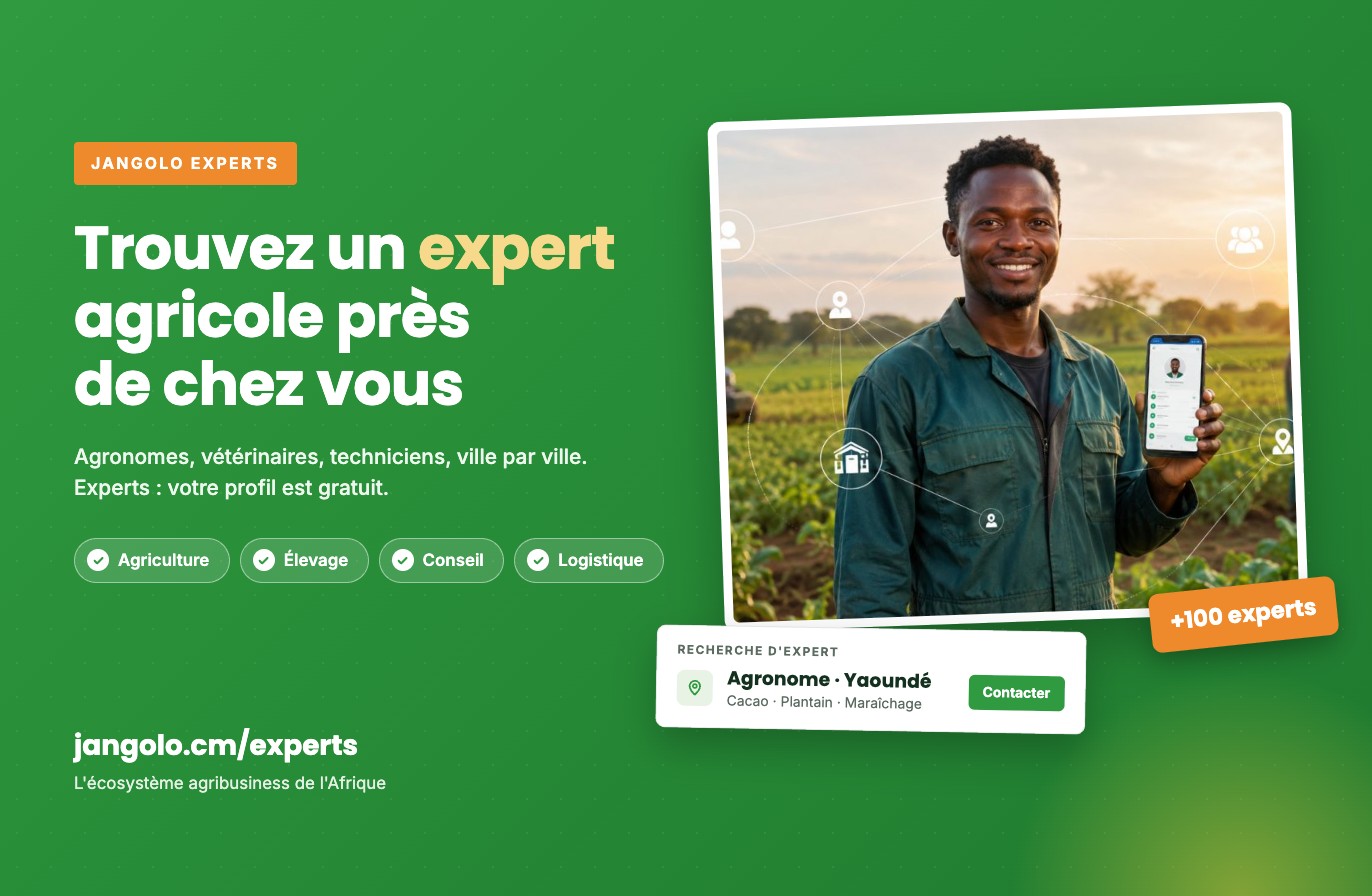 Jangolo Experts : trouvez un expert agricole près de chez vous au Cameroun