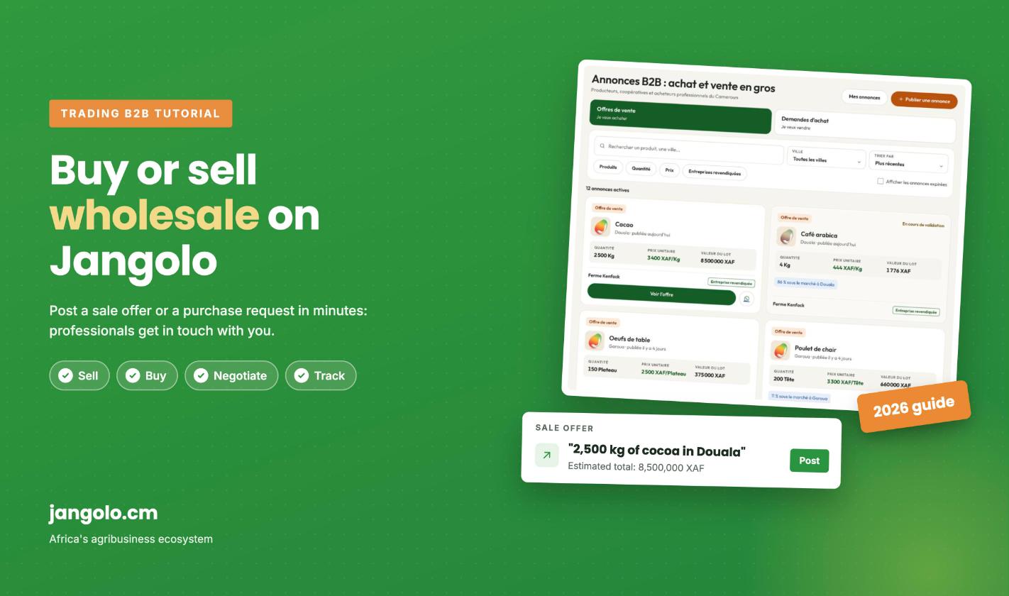 Jangolo Trading B2B tutorial: buy or sell wholesale, with the B2B listings page and an offer of 2,500 kg of cocoa